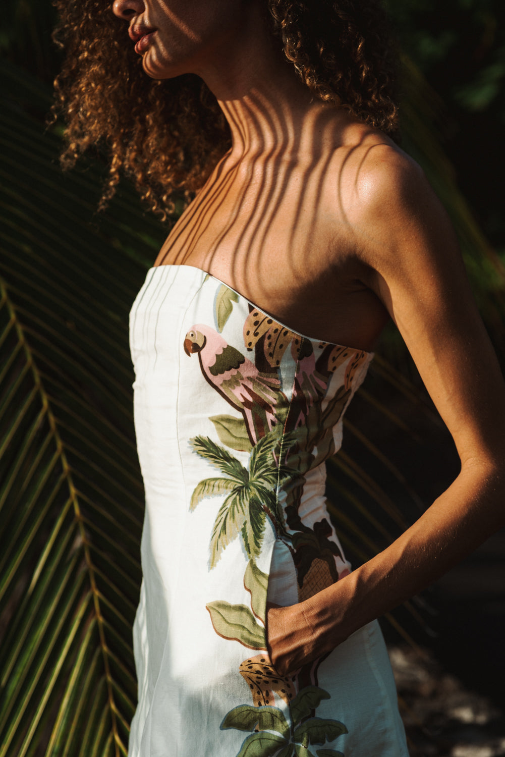 Zeni Maxi Dress- Parrot Stripe