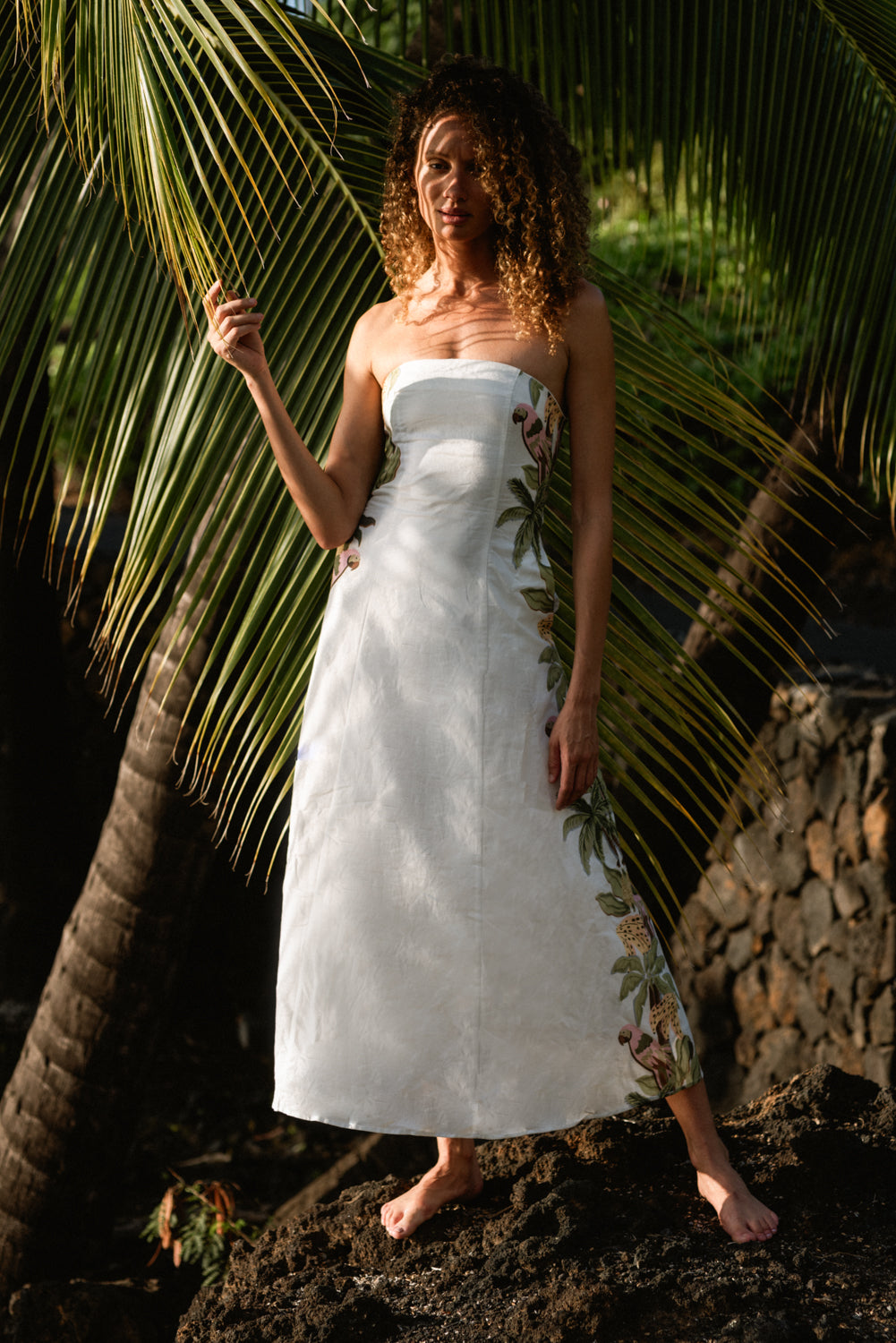 Zeni Maxi Dress- Parrot Stripe