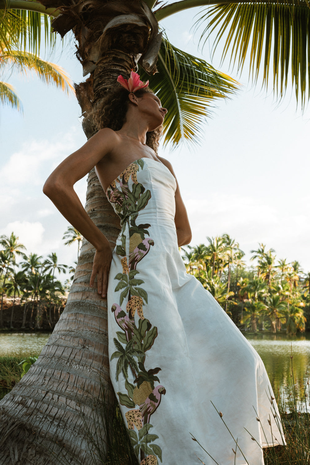 Zeni Maxi Dress- Parrot Stripe – JAXSEA HAWAII